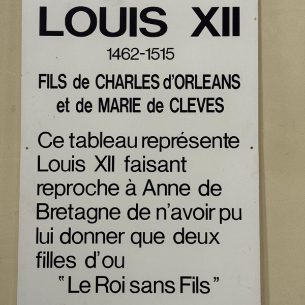 Louis XII - Le Roi sans Fils 3
