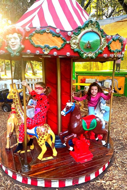 Carrousel Animaux