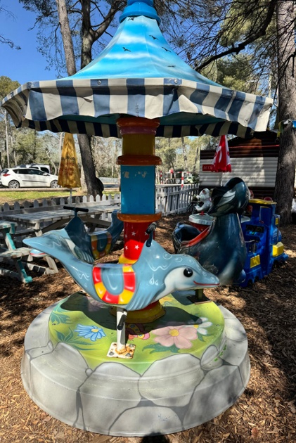 Carrousel Dauphins