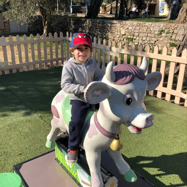 La vache 1