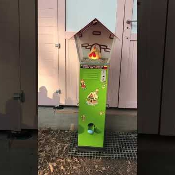 Oeufs Surprise (vid&eacute;o)