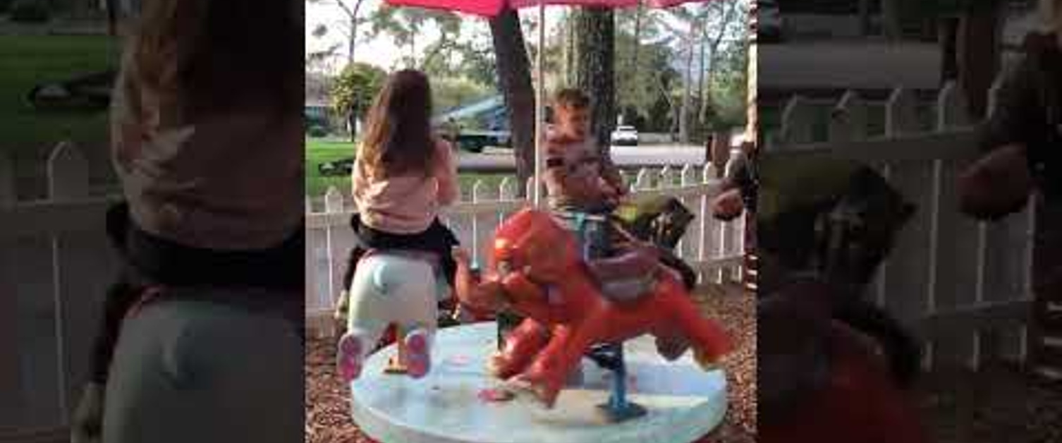 Carrousel Animaux (vid&eacute;o)