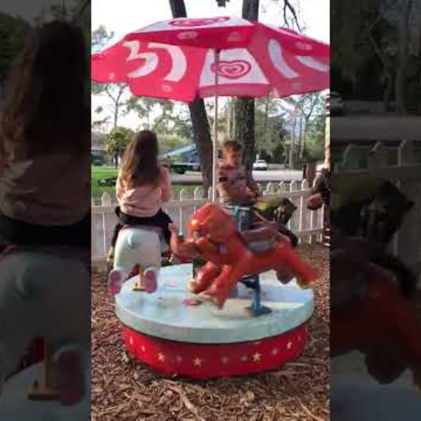 Carrousel Animaux (vid&eacute;o)