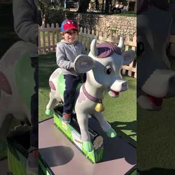 La Vache (vid&eacute;o)